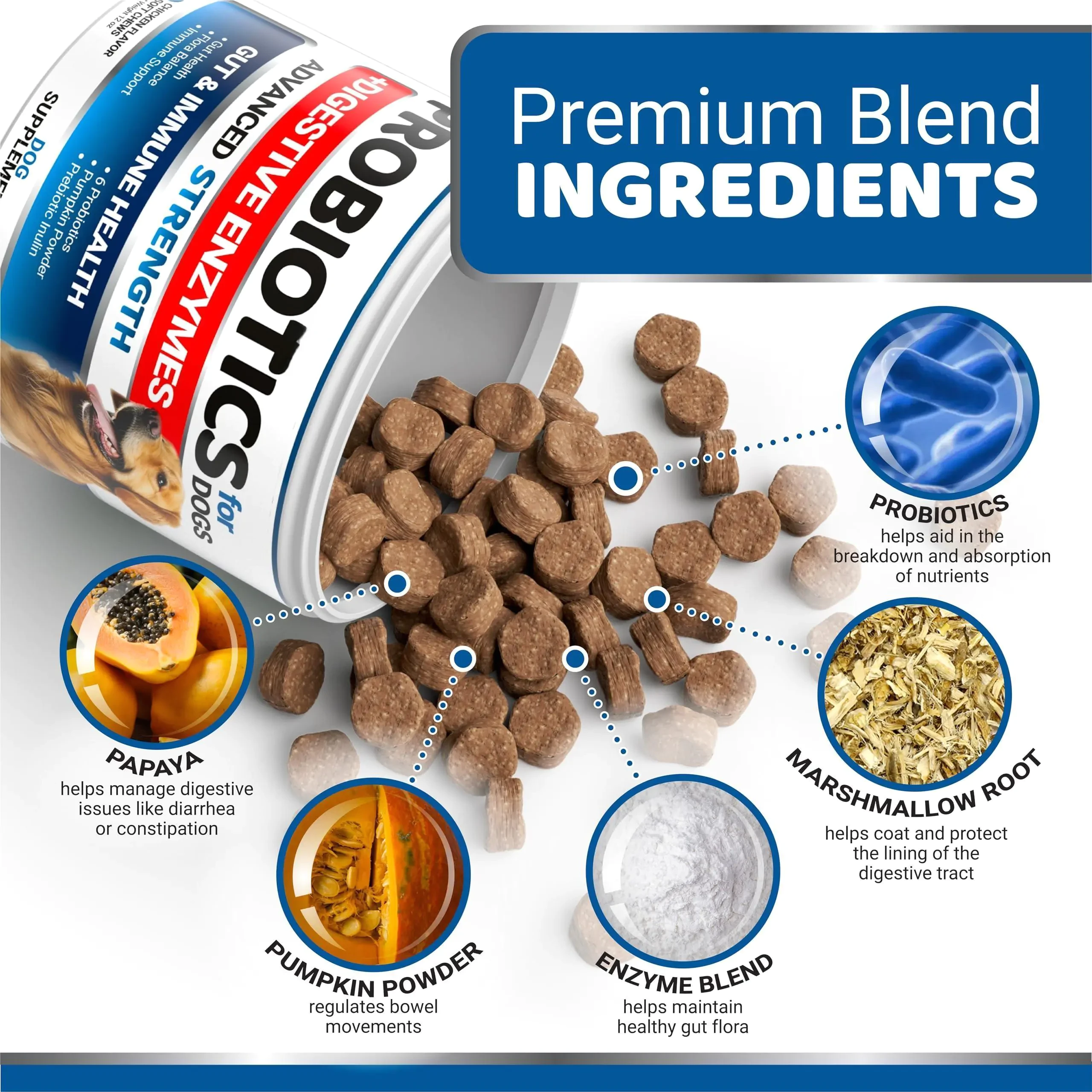 Dog Probiotics & Digestive Enzyme Chews – 170 Count