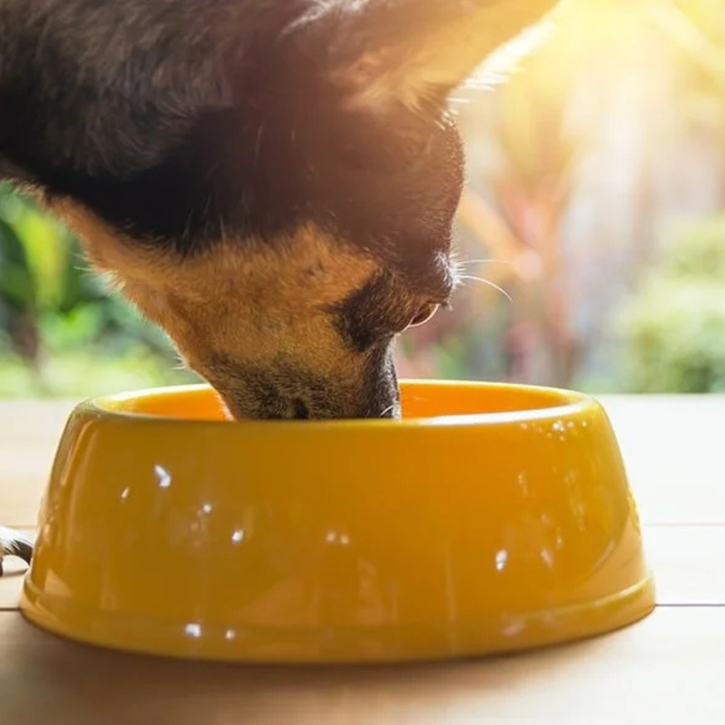 Pet Foods